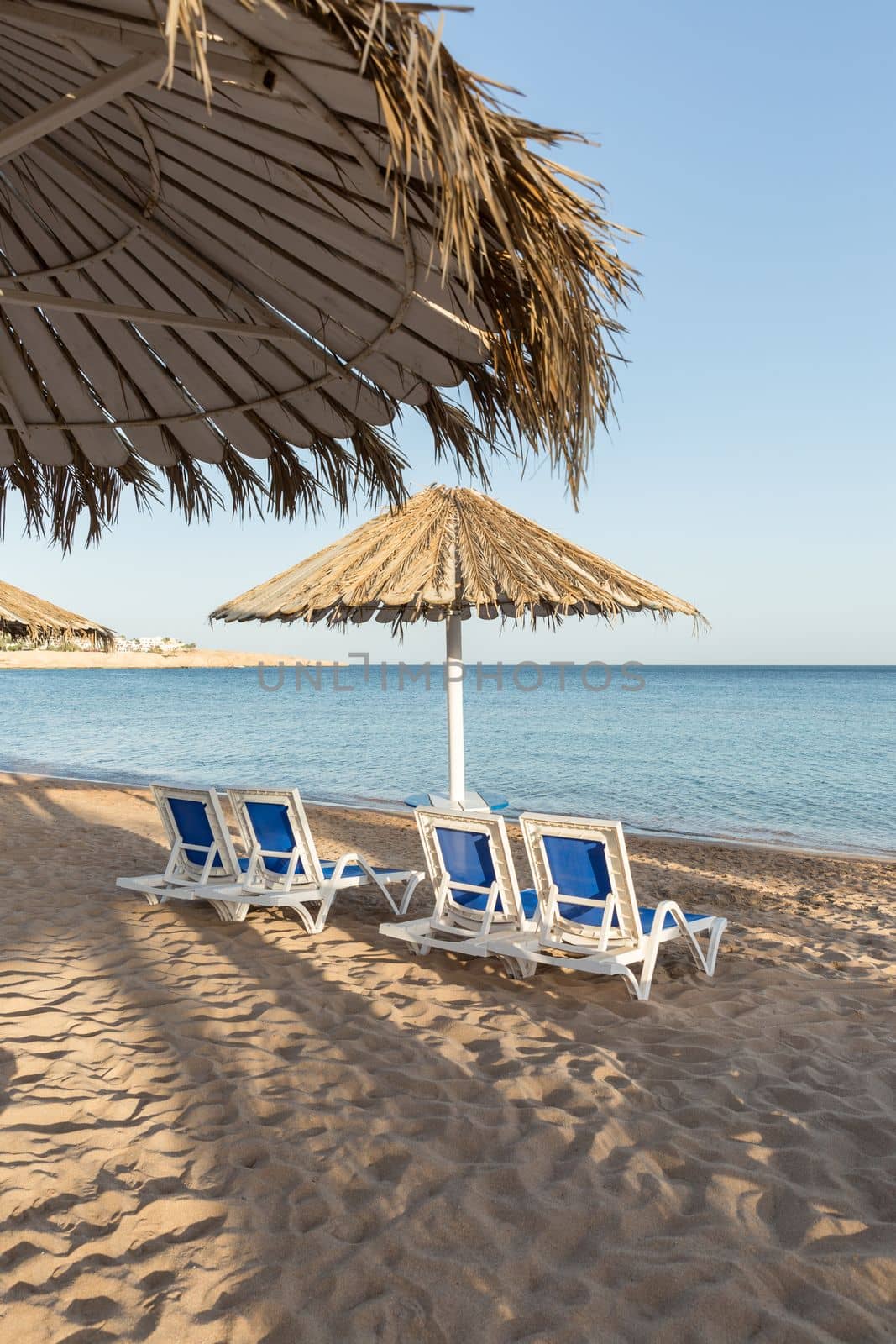 A sun lounger under an umbrella. sandy beach with palm trees with a metal pergola and plastic sun loungers.