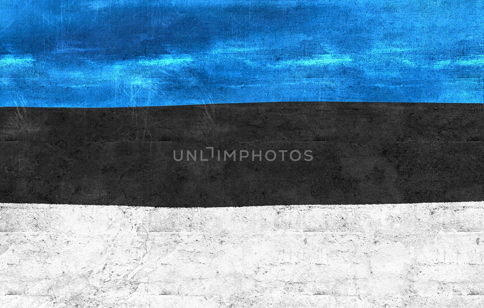 Estonia flag - realistic waving fabric flag by MP_foto71