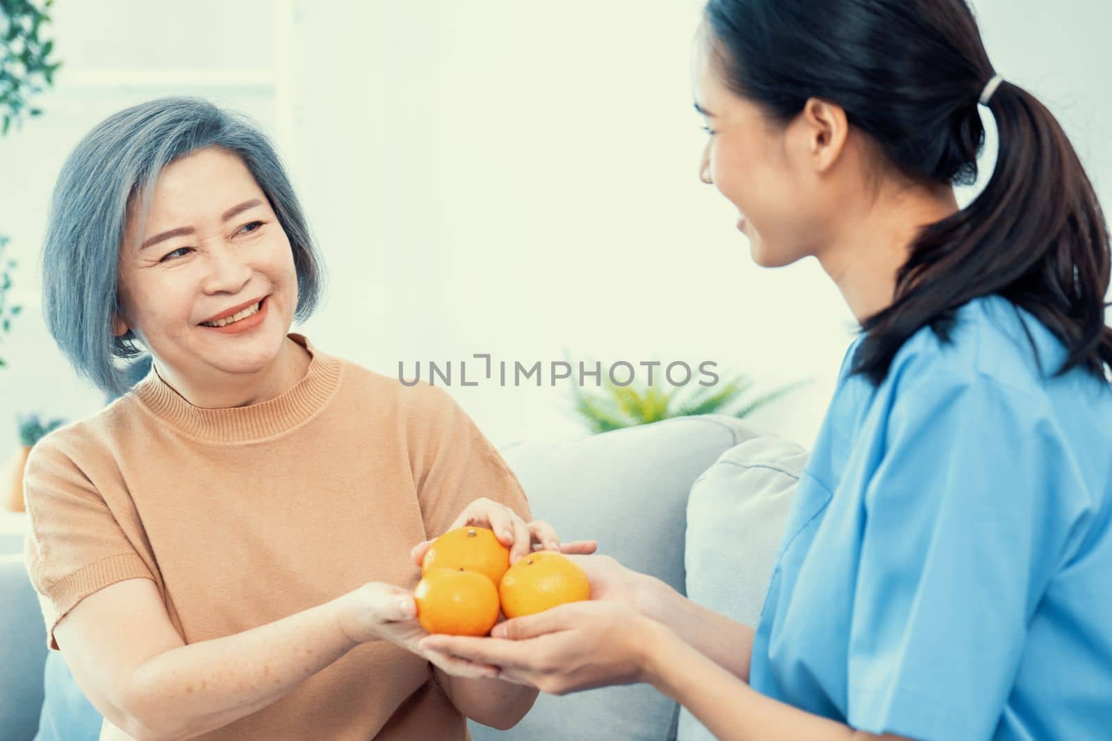 A young caregiver handing oranges to her contented senior patient at the living room. Senior care services, home visit by medical.