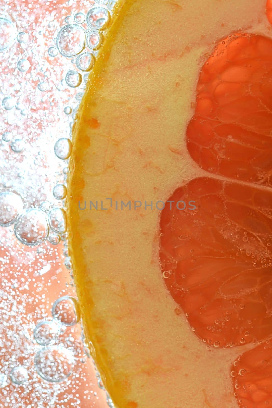 Close-up of fresh grapefruit slice on white background. Slice of red grapefruit in sparkling water on white background, close-up. Vertical image by roman_nerud