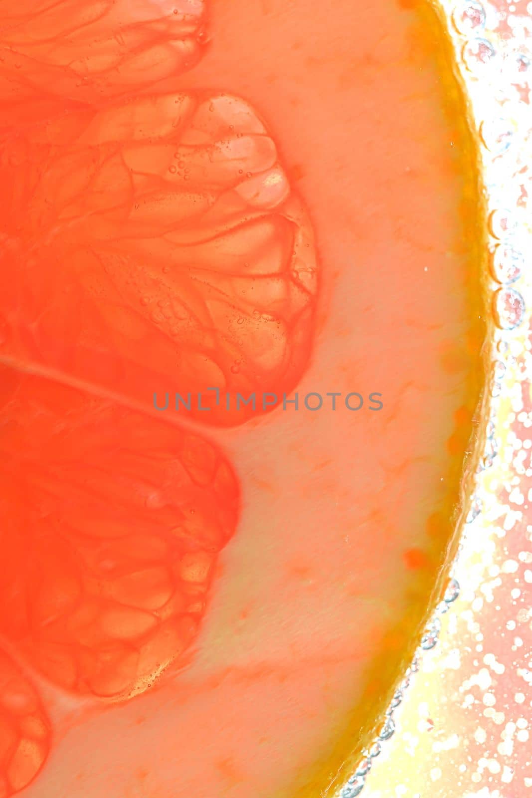 Close-up of juicy grapefruit slice on white background. Slice of red grapefruit in sparkling water on white background, close-up. Vertical macro image by roman_nerud