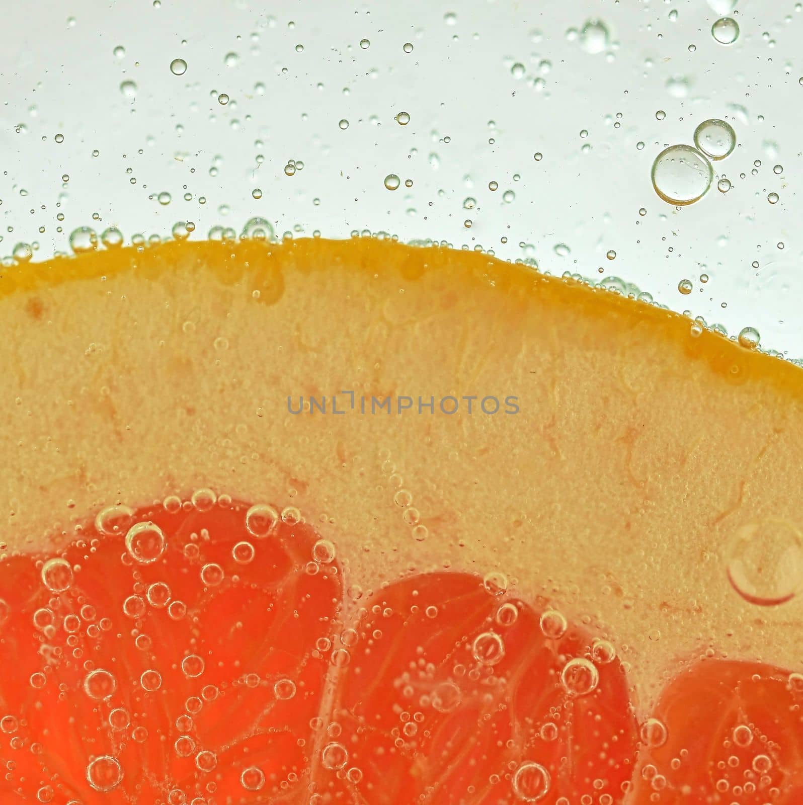 Close-up of fresh grapefruit slice on white background. Slice of red grapefruit in sparkling water on white background, close-up. Horizontal image by roman_nerud