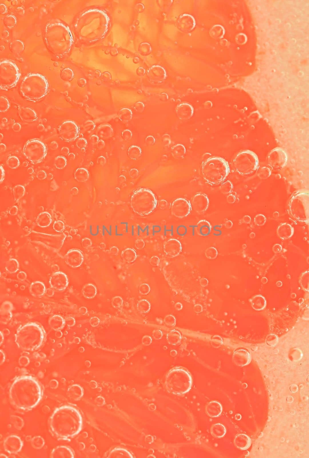 Red grapefruit slice floating in club soda. Fresh grapefruit slice with bubbles in carbonated drink. Fresh natural red grapefruit slice covered by bubbles.