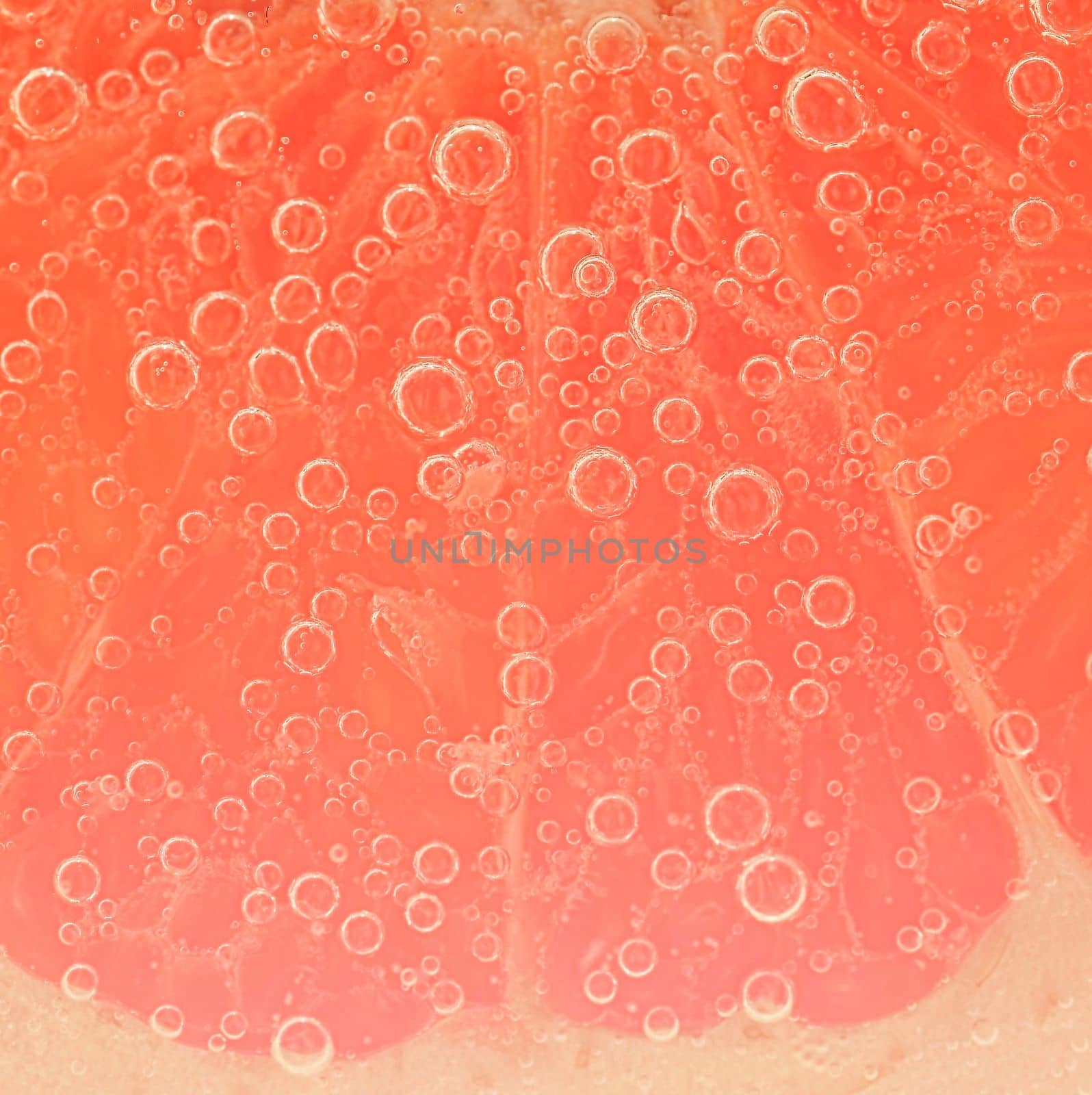 Close-up of a grapefruit slice in liquid with bubbles. Slice of red ripe grapefruit in water. Close-up of fresh grapefruit slice covered by bubbles by roman_nerud