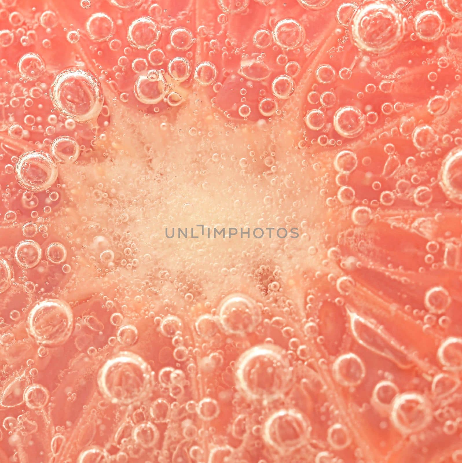 Slice of grapefruit in sparkling water. Grapefruit slice covered by bubbles in carbonated water. Grapefruit slice in water with bubbles by roman_nerud