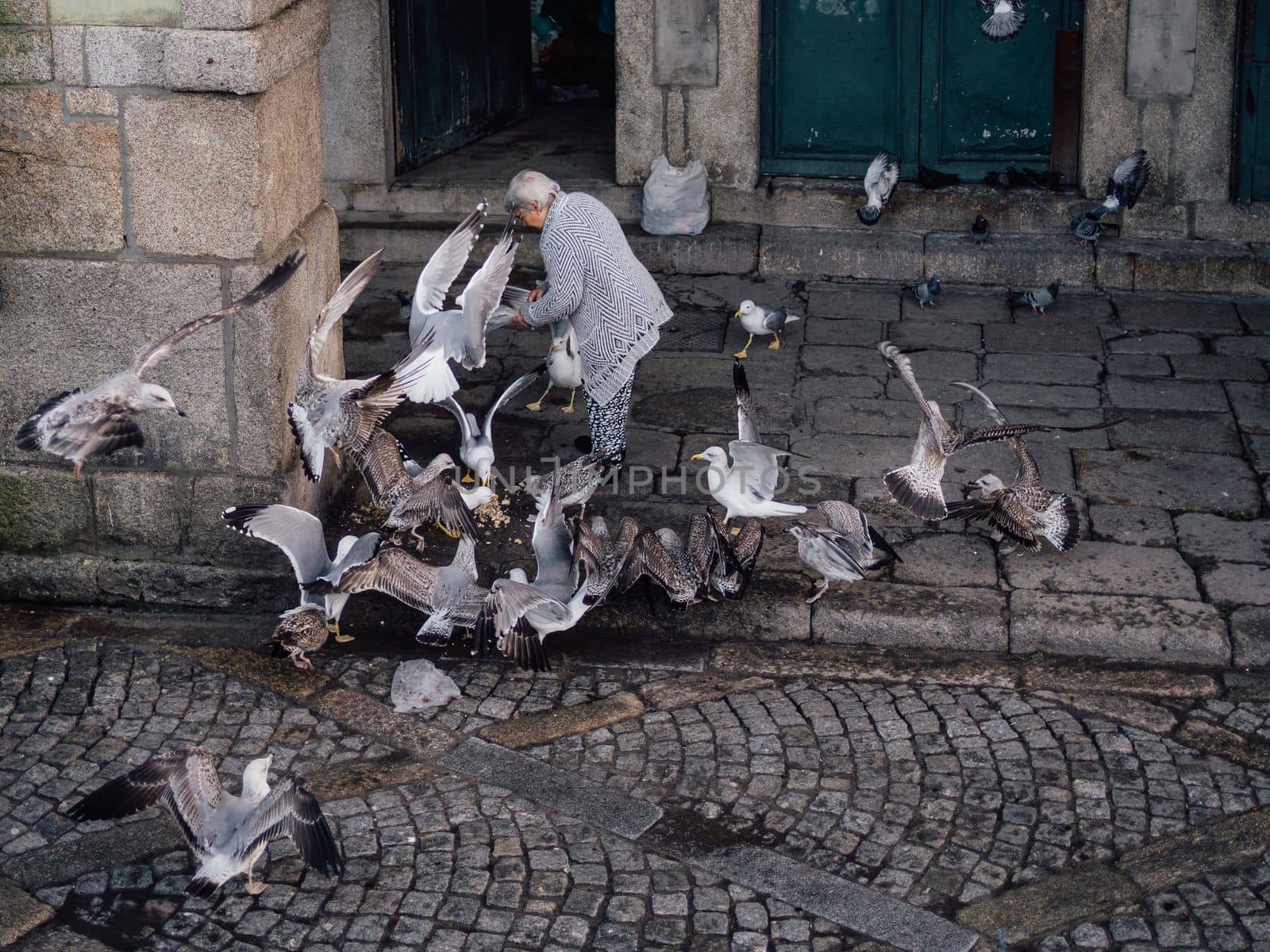 Oporto Portugal 9 of January 2023 Senior woman feeds seagulls on a street and happy enjoying free time by papatonic
