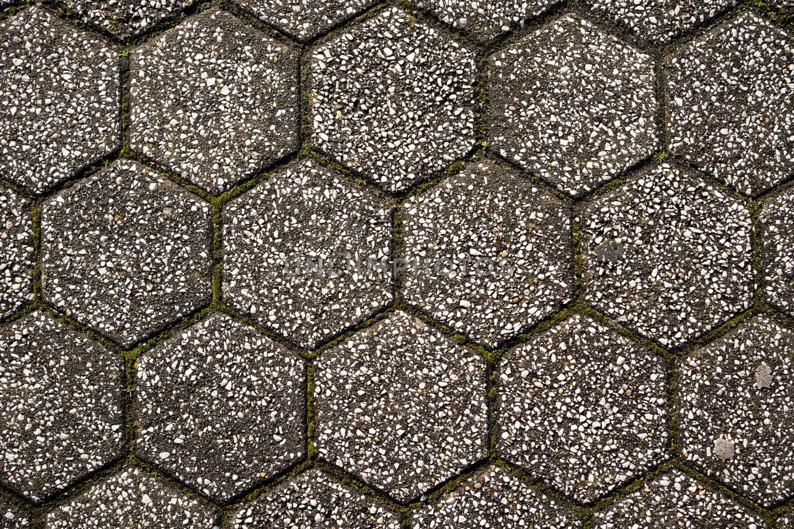 Hexagonal floor tile with grass and moss. Can use for add text and abstract background with copy space by papatonic