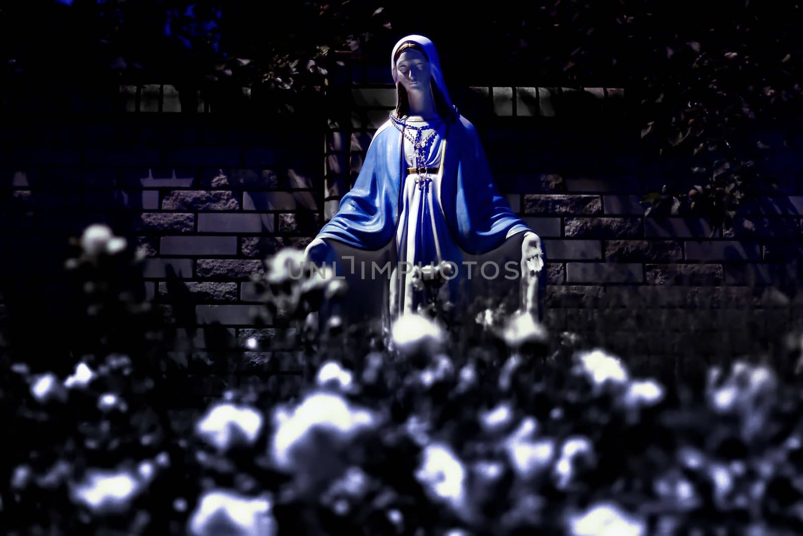 The blessed Virgin Mary statue figure Catholic praying for our lady - The Virgin Mary. High quality photo