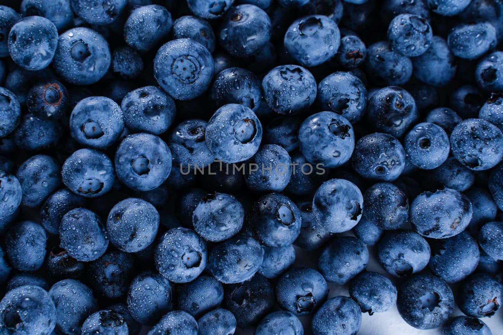 Blueberries with water drops. Blueberry summer seasonal berry. Many natural organic blueberries. by Rabizo