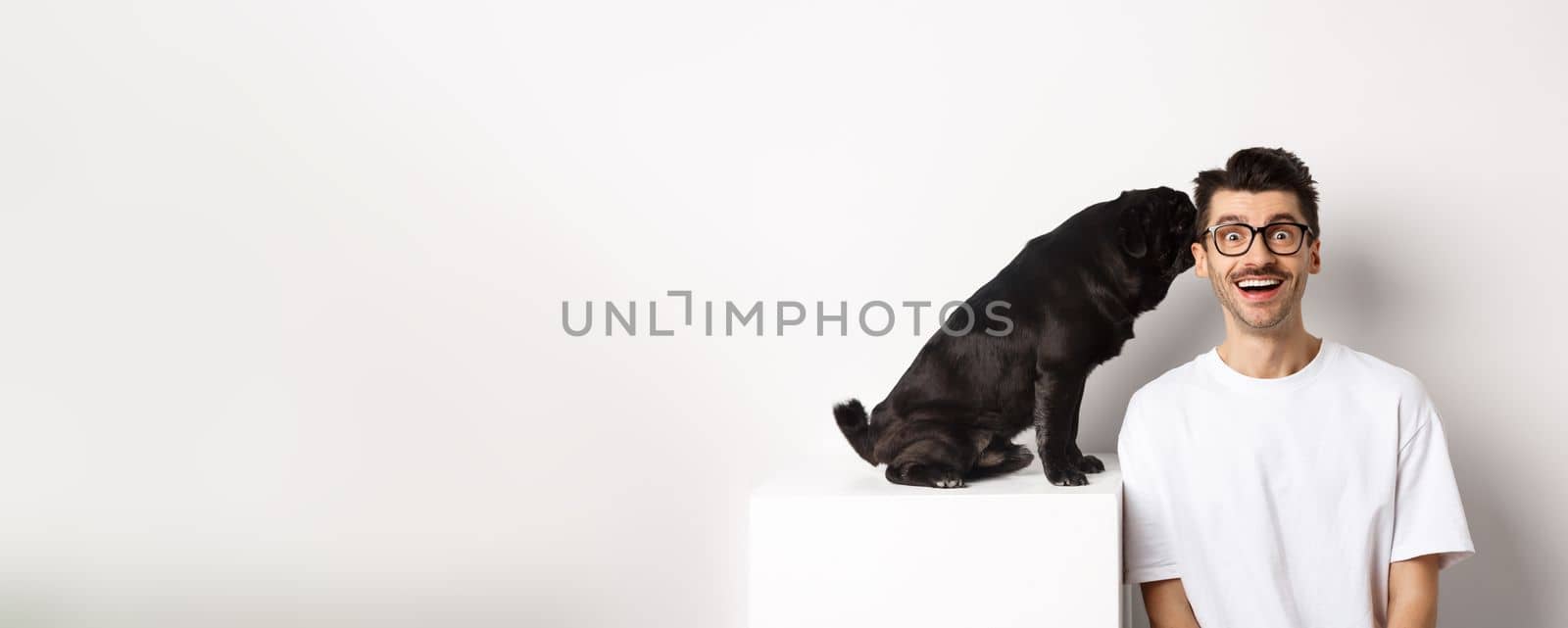 Image of cute black pug dog whispering at owner ear, man looking amazed and smiling, standing over white background by Benzoix