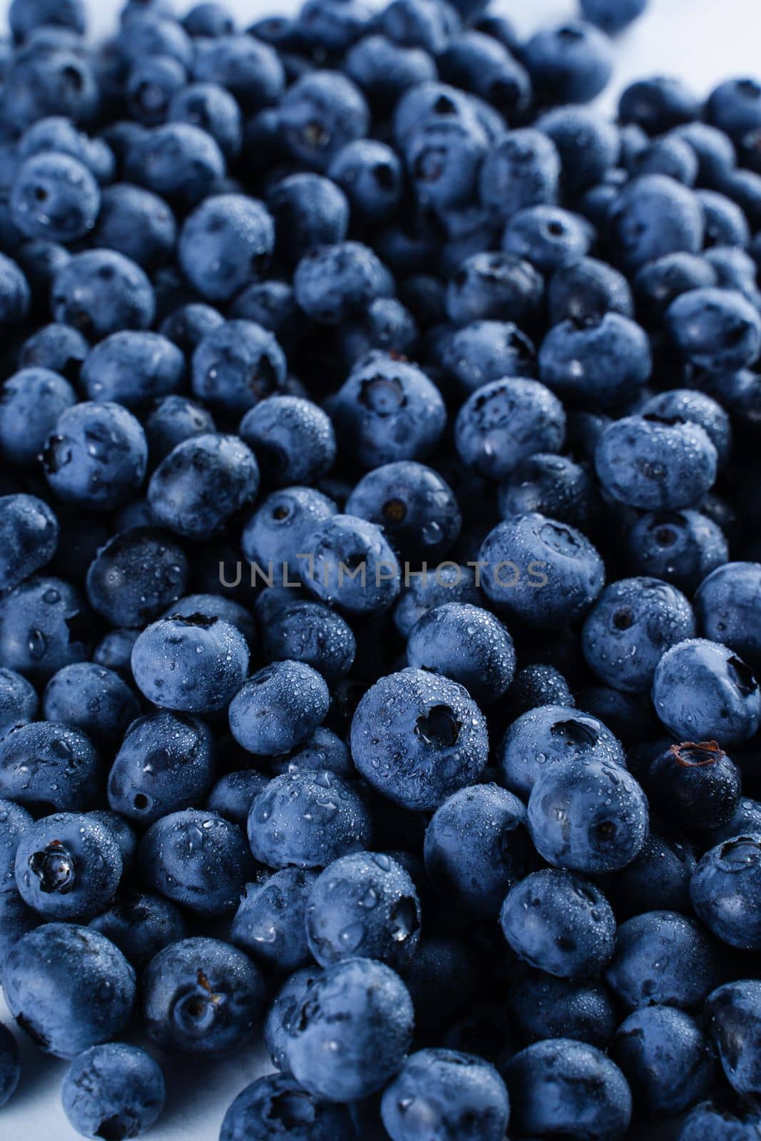 Blueberries with water drops. Blueberry summer seasonal berry. Many natural organic blueberries. by Rabizo