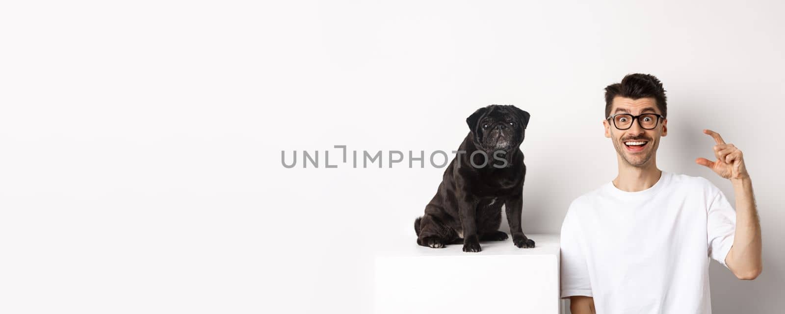 Happy dog owner sitting near cute black pug, smiling and showing small little size, white background.