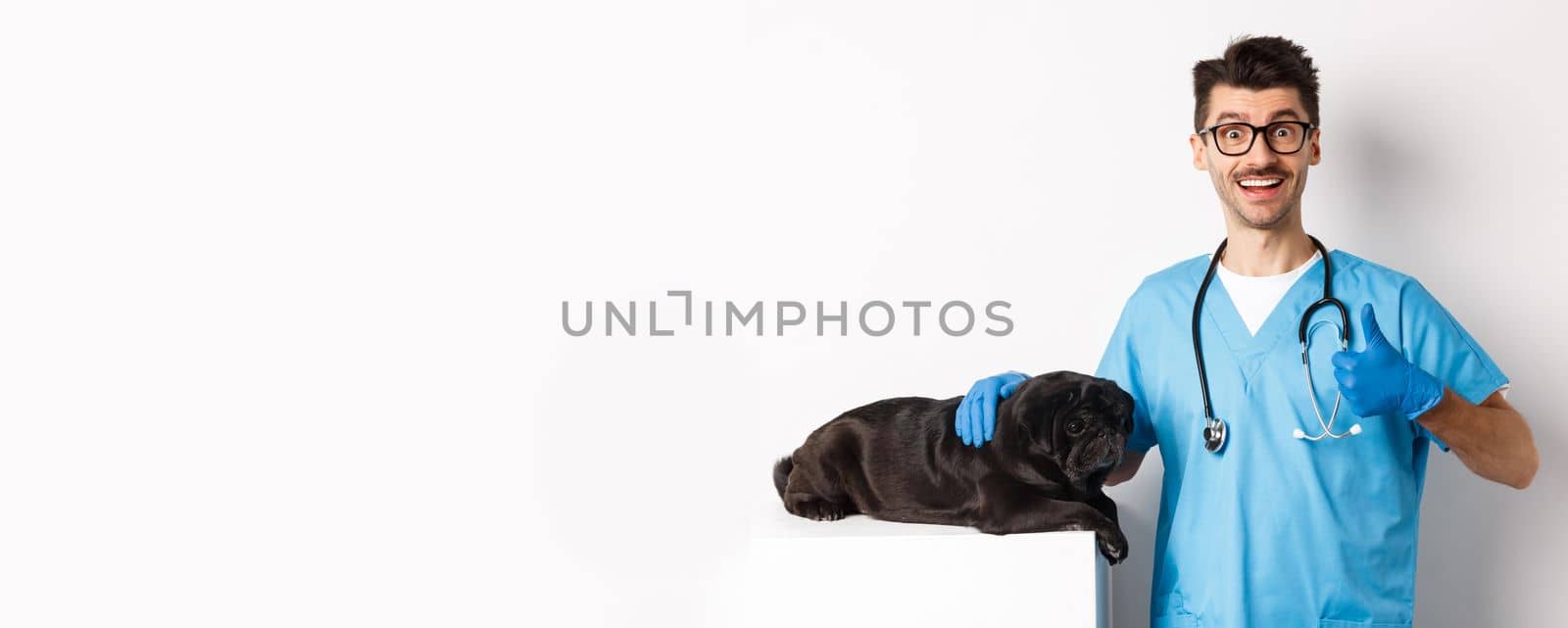 Happy male doctor veterinarian examining cute black dog pug, showing thumb up in approval, satisfied with animal health, standing over white background by Benzoix