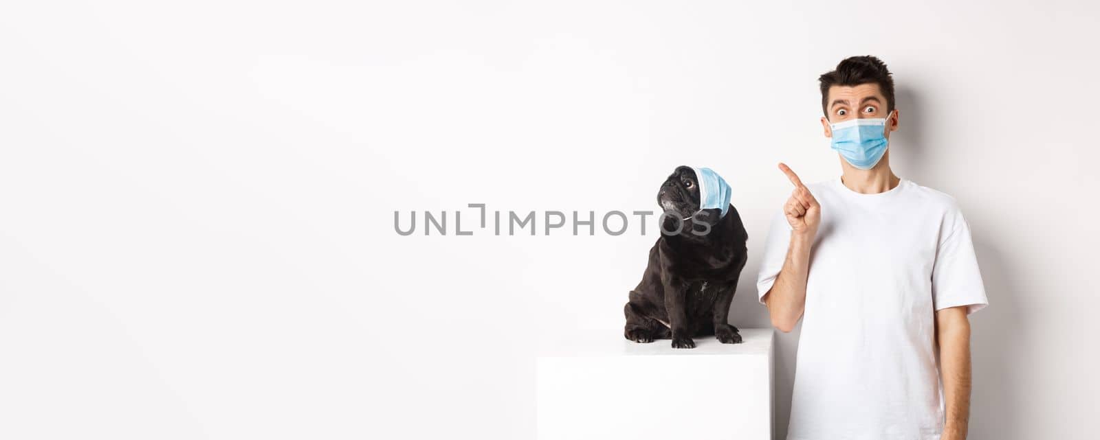 Covid-19, animals and quarantine concept. Dog owner and cute black pug wearing medical masks, man pointing and puppy staring at upper left corner, white background by Benzoix