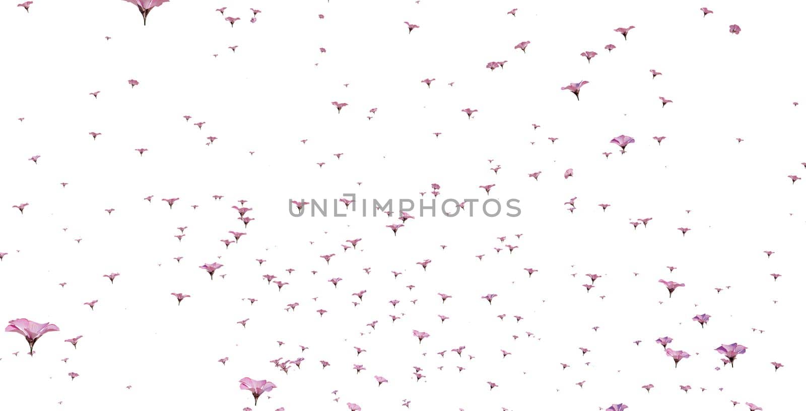 Pink sakura falling petals background. 3D romantic illustration