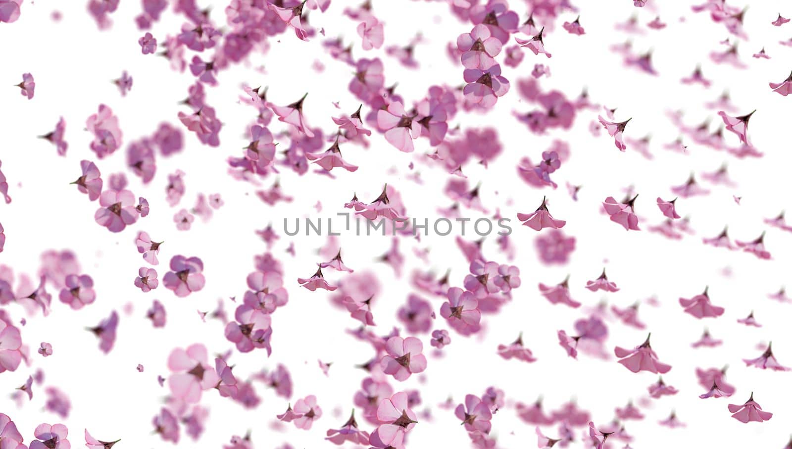 Pink sakura falling petals background. 3D romantic illustration