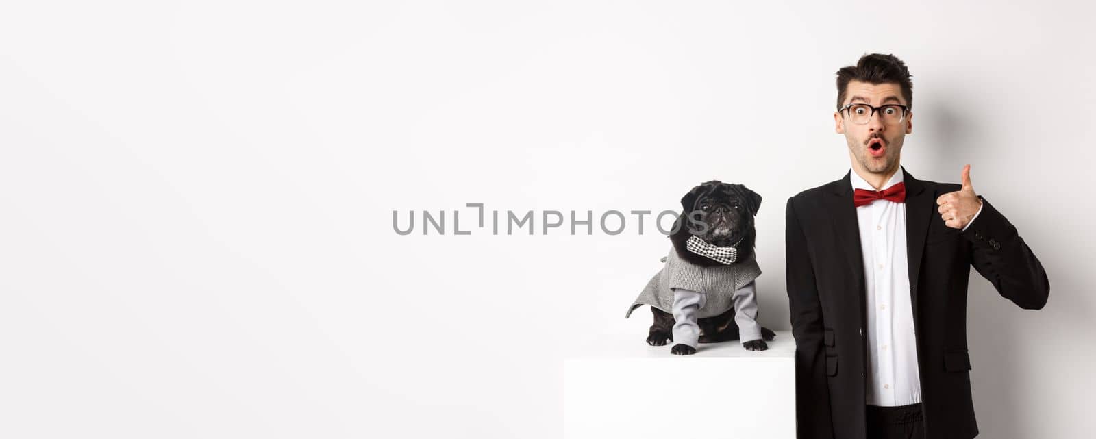 Animals, party and celebration concept. Handsome young man in suit and cute black pug in costume staring at camera, owner showing thumb up in approval and praise, white background by Benzoix