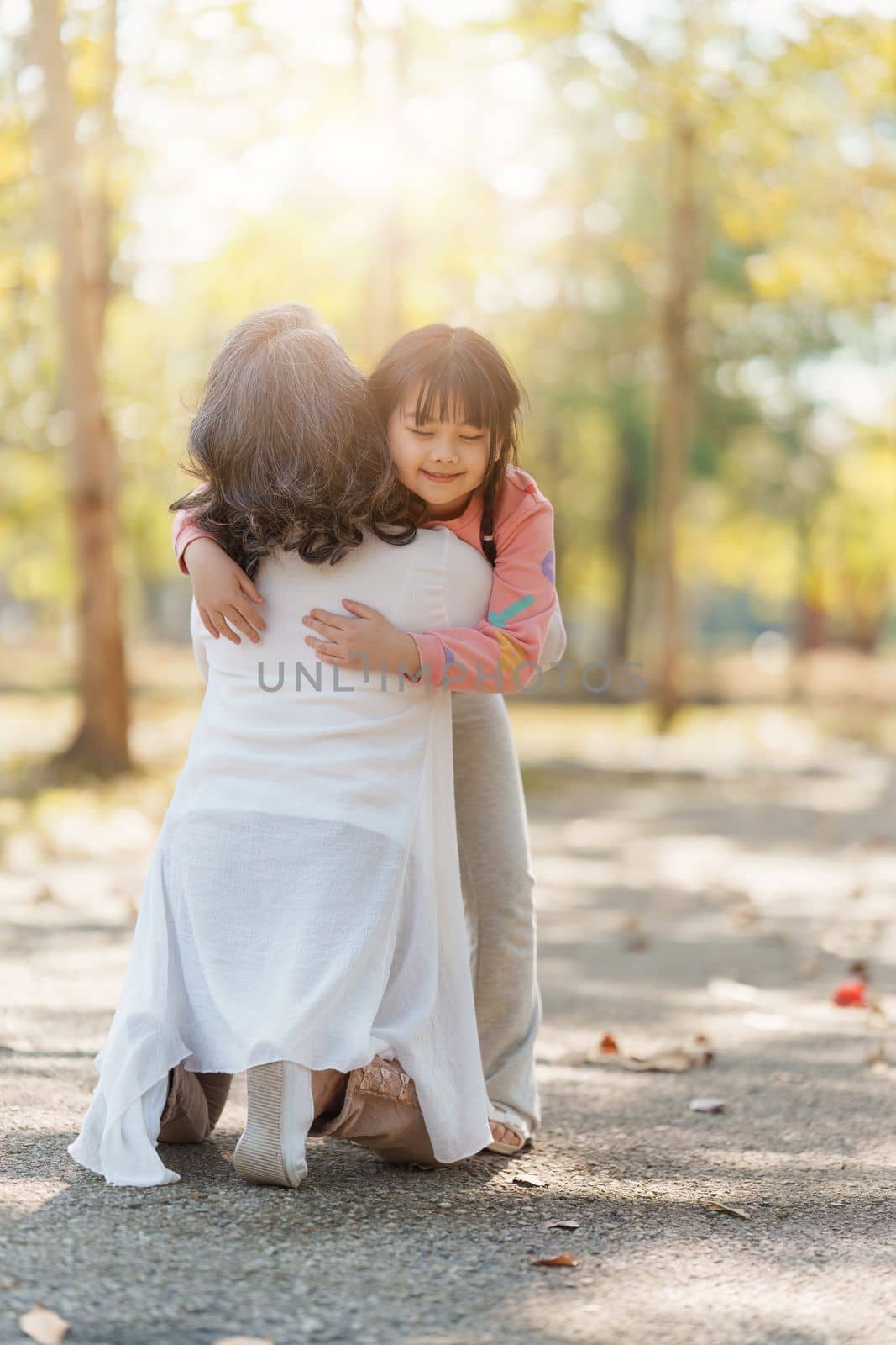 Asian Grandmother and Granddaughter hug together outdoor park. Hobbies and leisure, lifestyle, family life, happiness moment concept by itchaznong