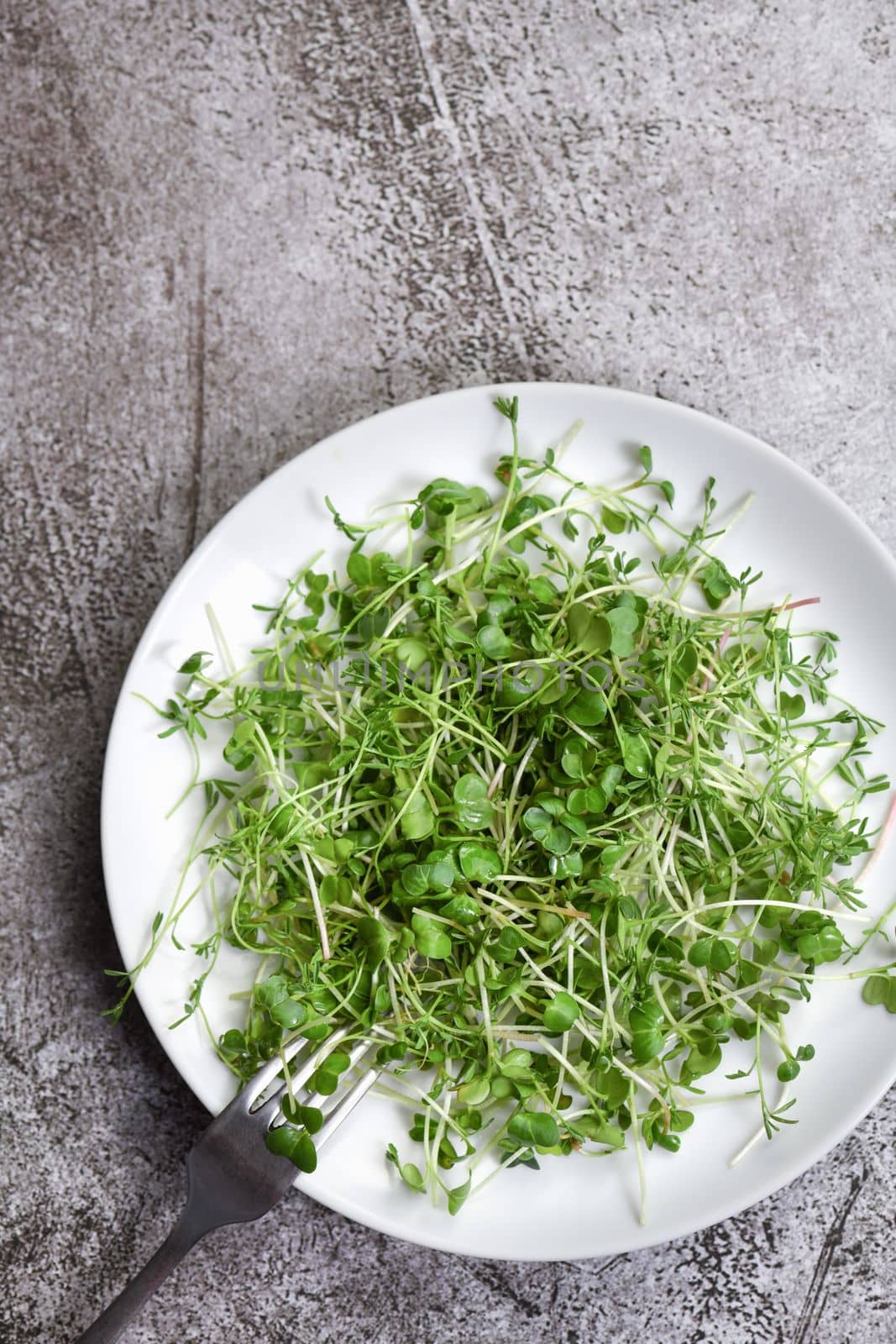 Plate with microgreens on a concrete table by Apolonia