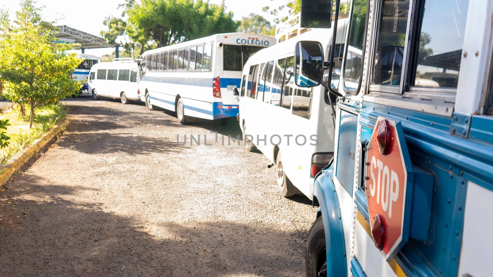 Row of buses parked to participate in a mechanical inspection