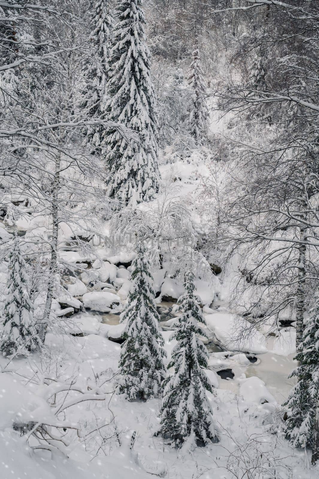 Beauty winter landscape with fair trees under the snow.