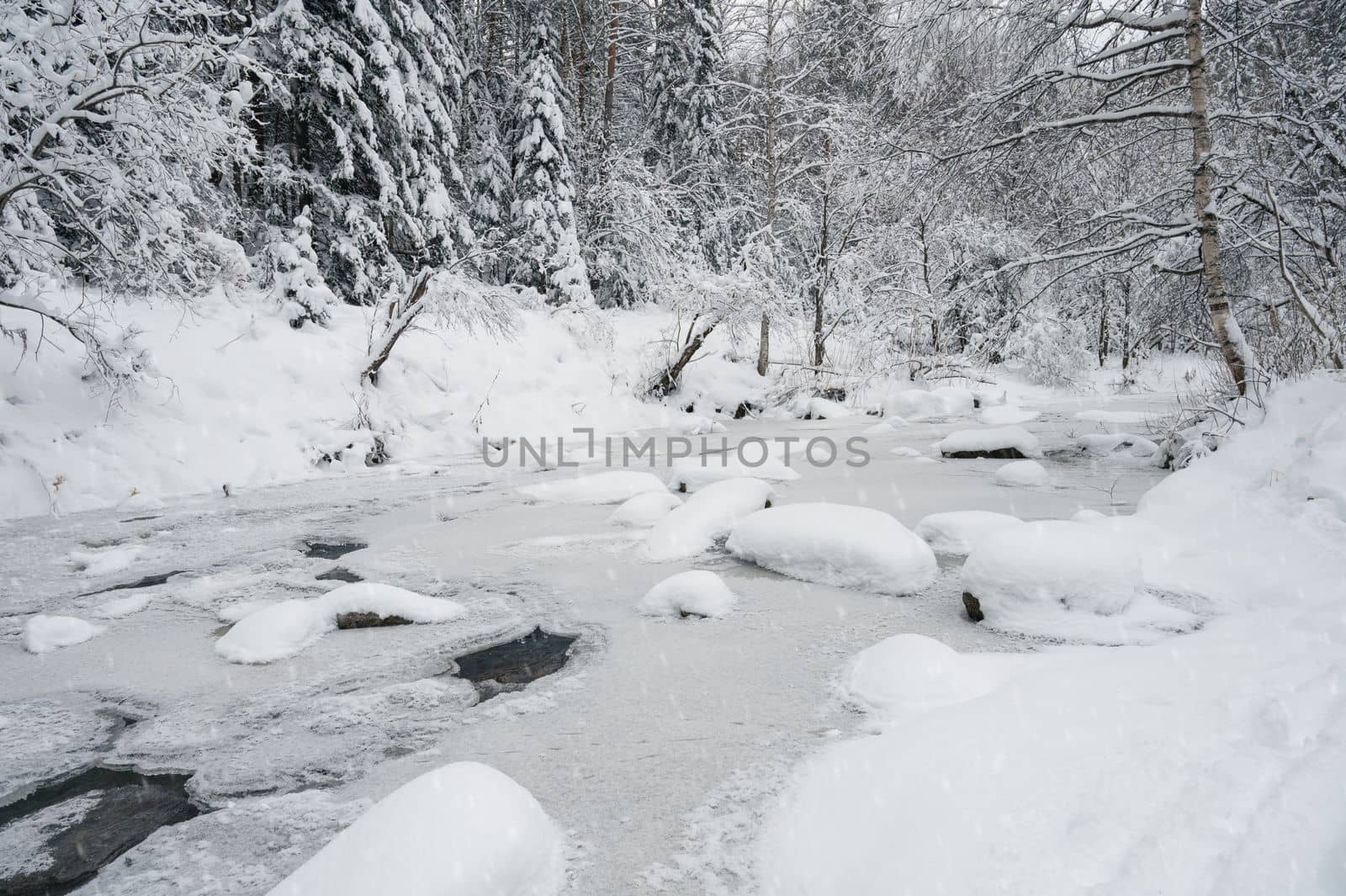 Beauty winter landscape with fair trees under the snow.
