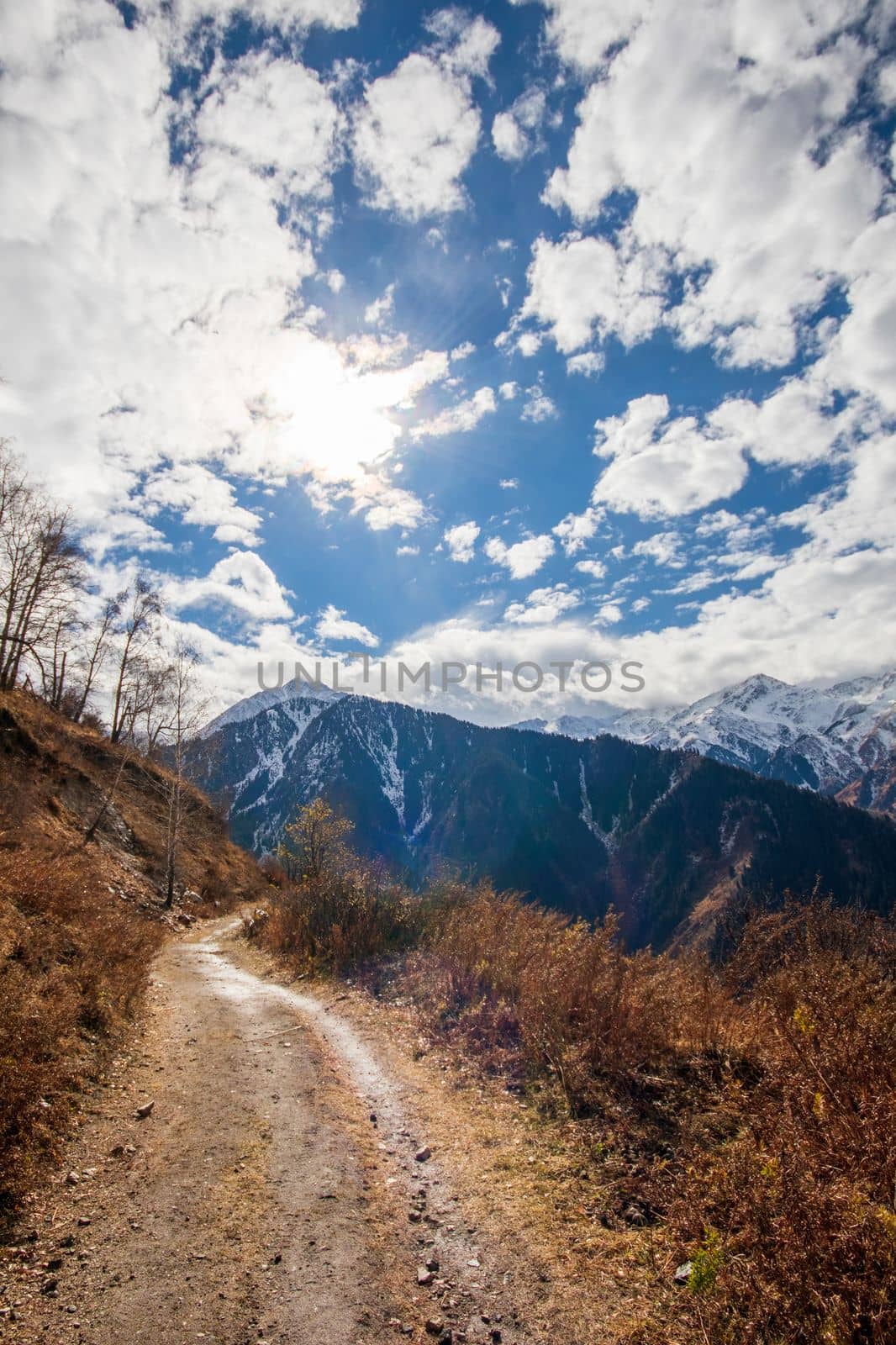 Famous hiking trail The Old Japanese Trail in the Great Almaty Gorge in Kazakhstan. Vertical, copy space.