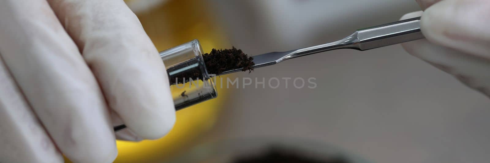 Researcher holds glass flask with earth in hand by kuprevich