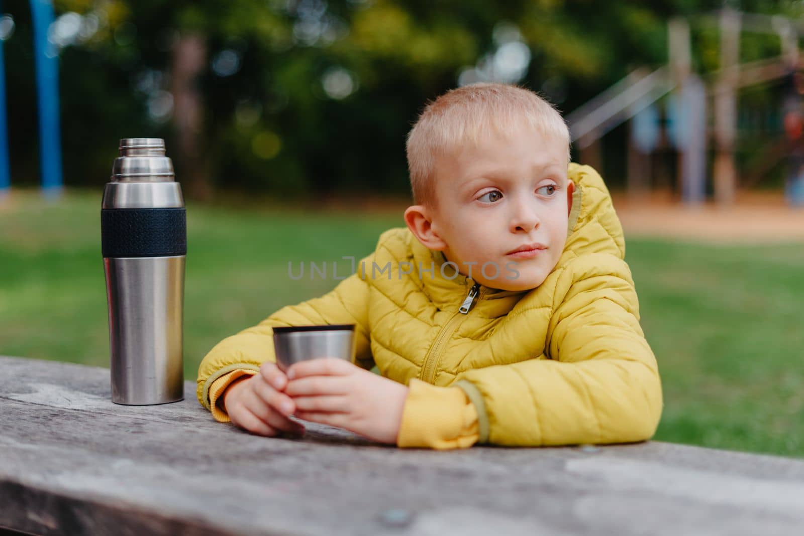 Boy is sitting at wooden table with thermos and cup of tea and looking into distance. A boy sits at a table in the park in the fall season. Child Boy Son In Autumn Park, Sitting On Wooden Bench And Table. Little Kid Outdoors. by Andrii_Ko