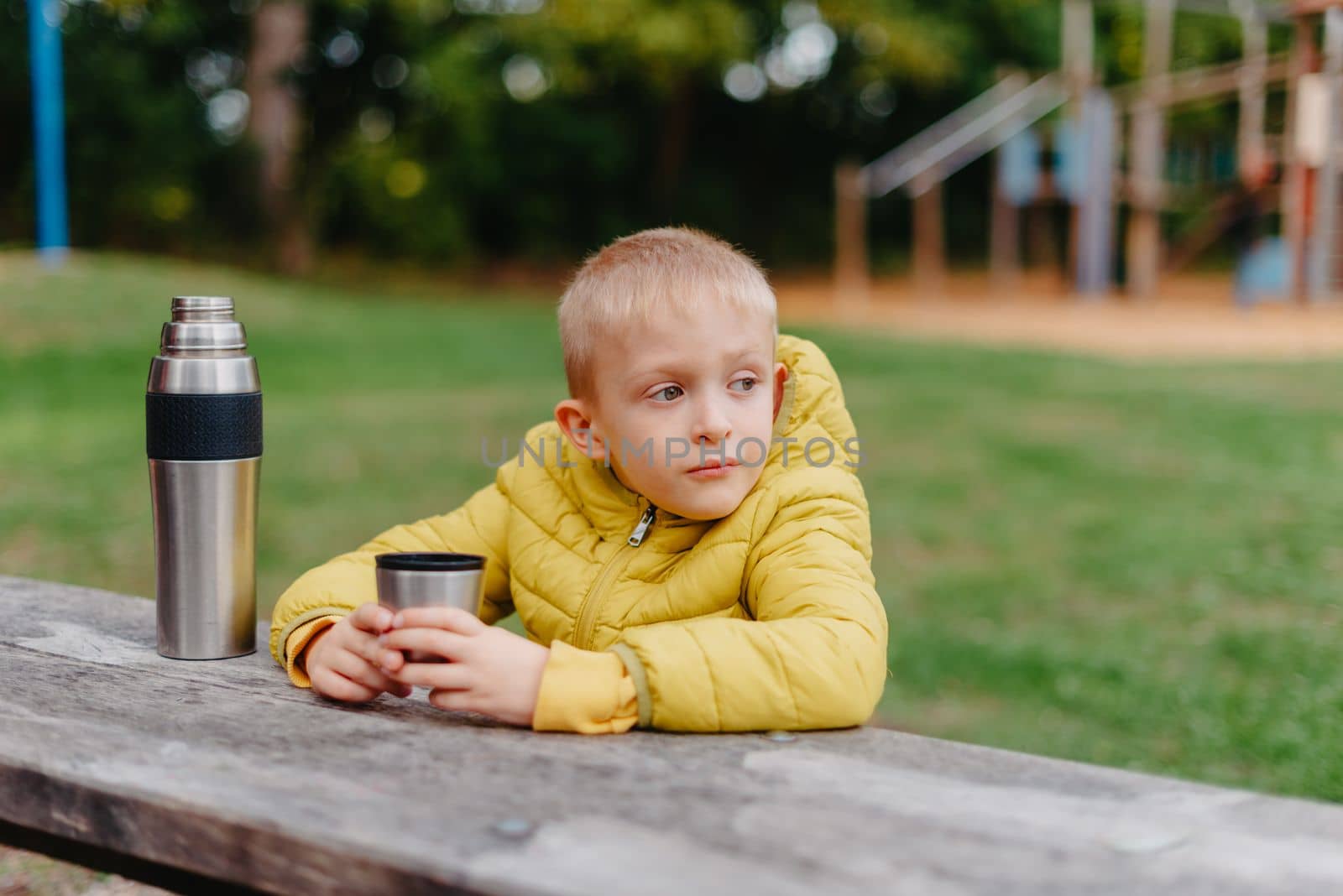 Boy is sitting at wooden table with thermos and cup of tea and looking into distance. A boy sits at a table in the park in the fall season. Child Boy Son In Autumn Park, Sitting On Wooden Bench And Table. Little Kid Outdoors. by Andrii_Ko