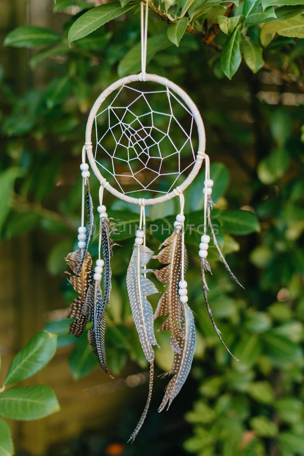 dream catcher with beautifu background. boho chic, ethnic amulet. (Vintage style) by Andrii_Ko