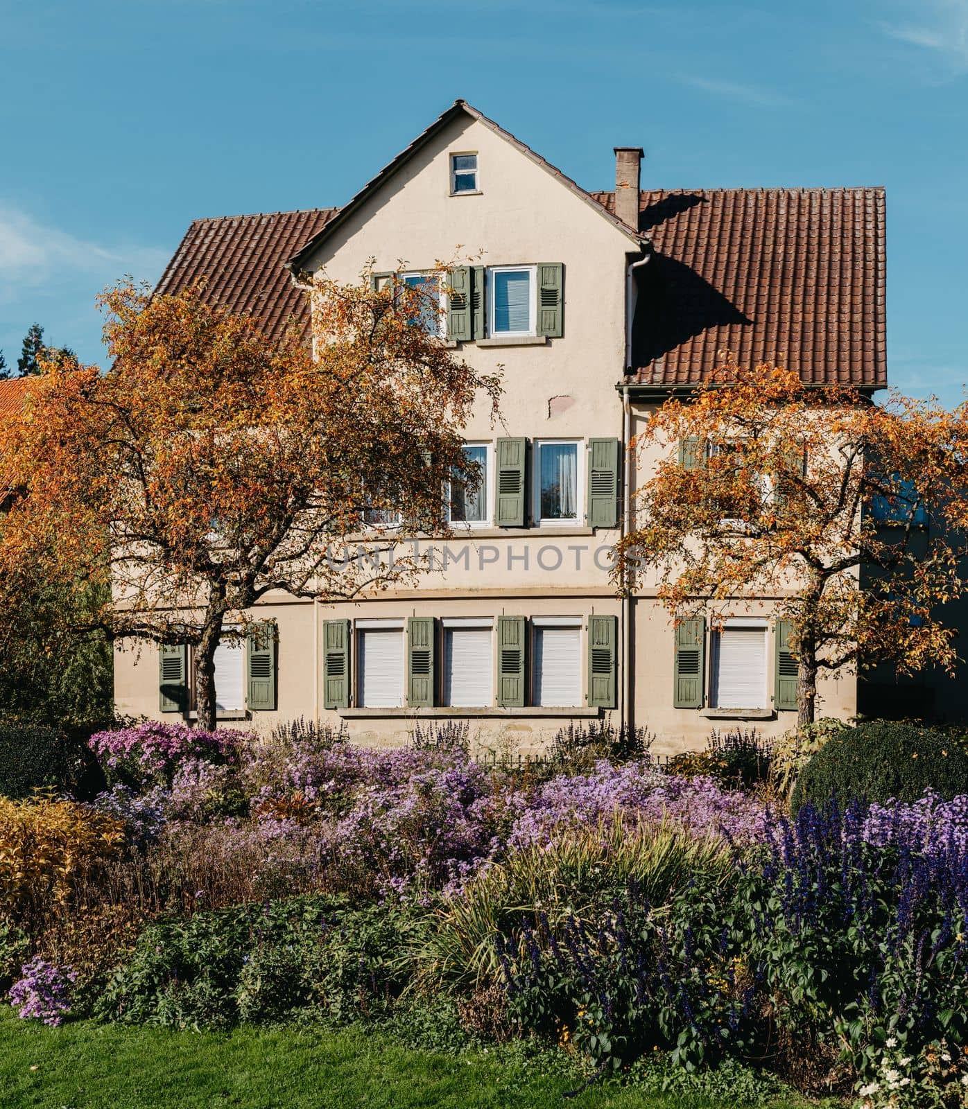 House with nice garden in fall. Flowers in the Park. Bietigheim-Bissingen. Germany, Europe. Autumn Park and house, nobody, bush and grenery