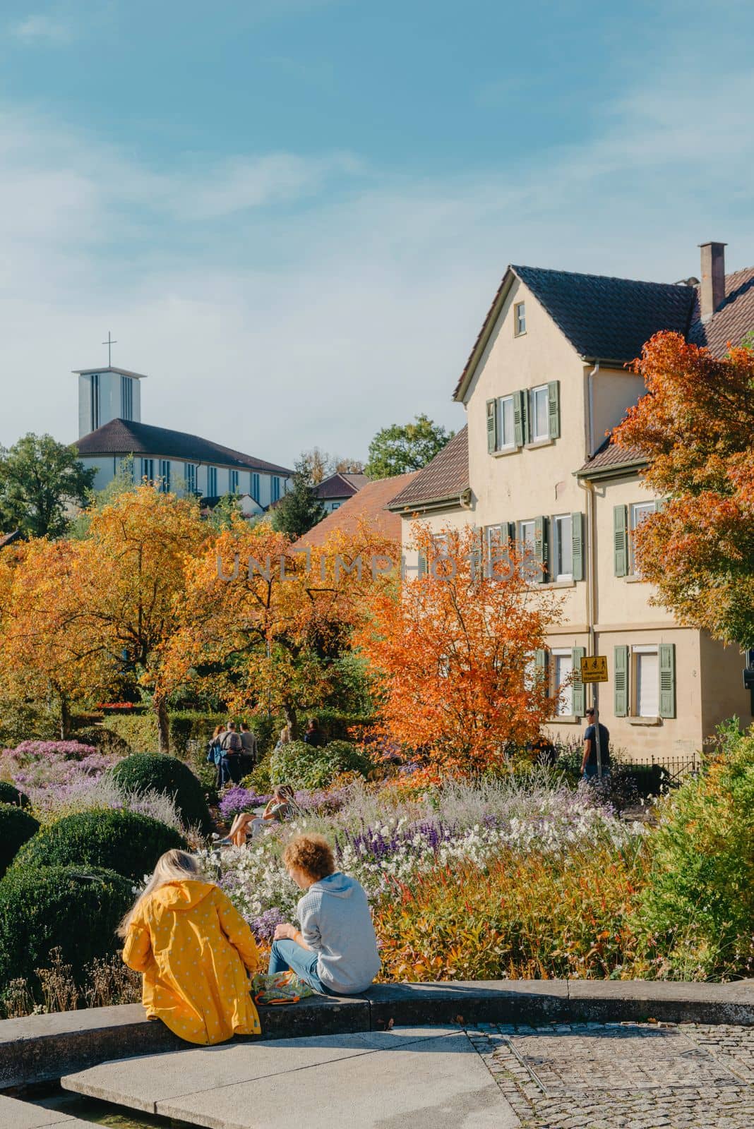 House with nice garden in fall. Flowers in the Park. Bietigheim-Bissingen. Germany, Europe. Autumn Park and house, nobody, bush and grenery