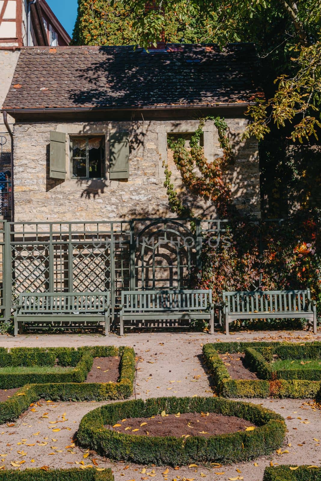 House with nice garden in autumn season. Flowers in the City Park of Bietigheim-Bissingen, Baden-Wuerttemberg, Germany, Europe. Autumn Park and house, nobody, bush and grenery by Andrii_Ko