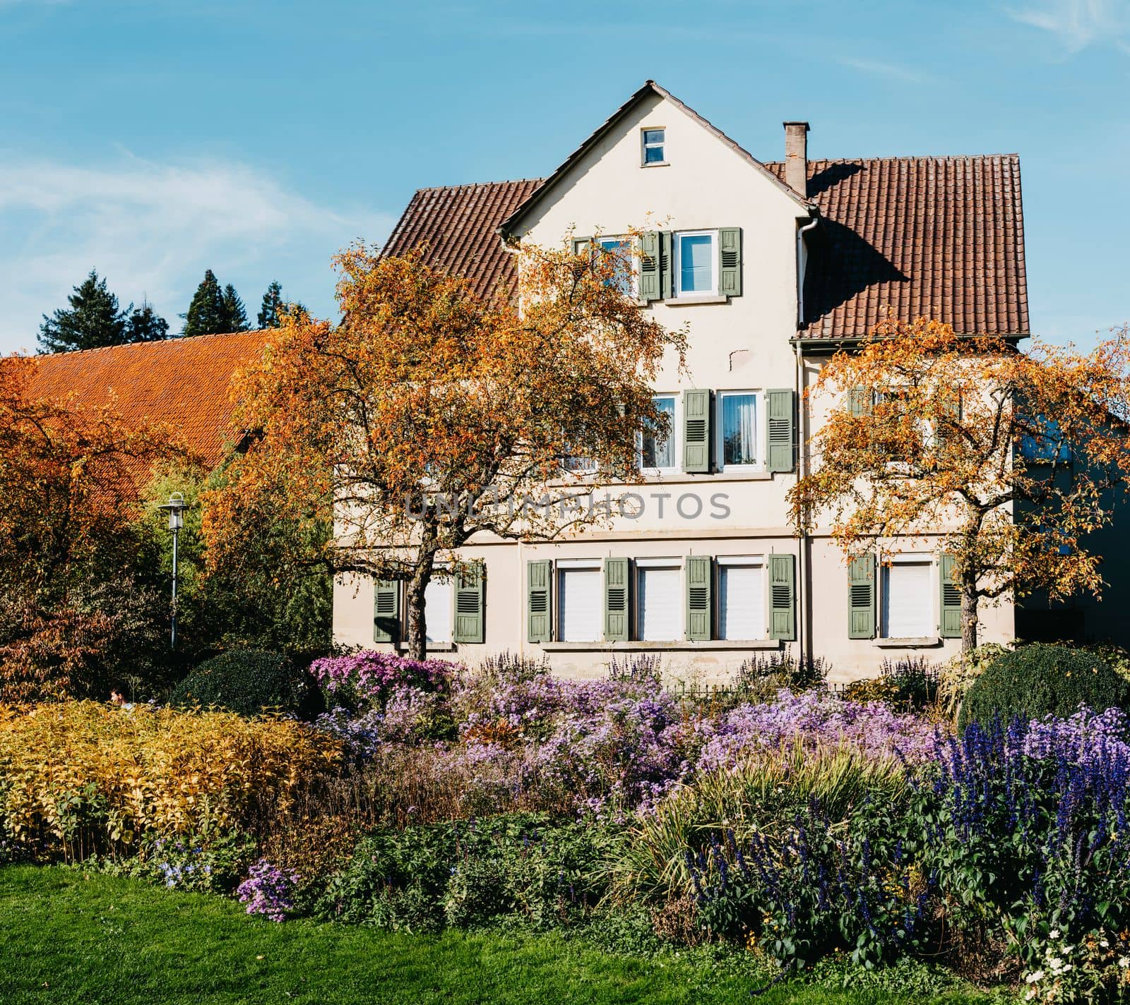 House with nice garden in fall. Flowers in the Park. Bietigheim-Bissingen. Germany, Europe. Autumn Park and house, nobody, bush and grenery