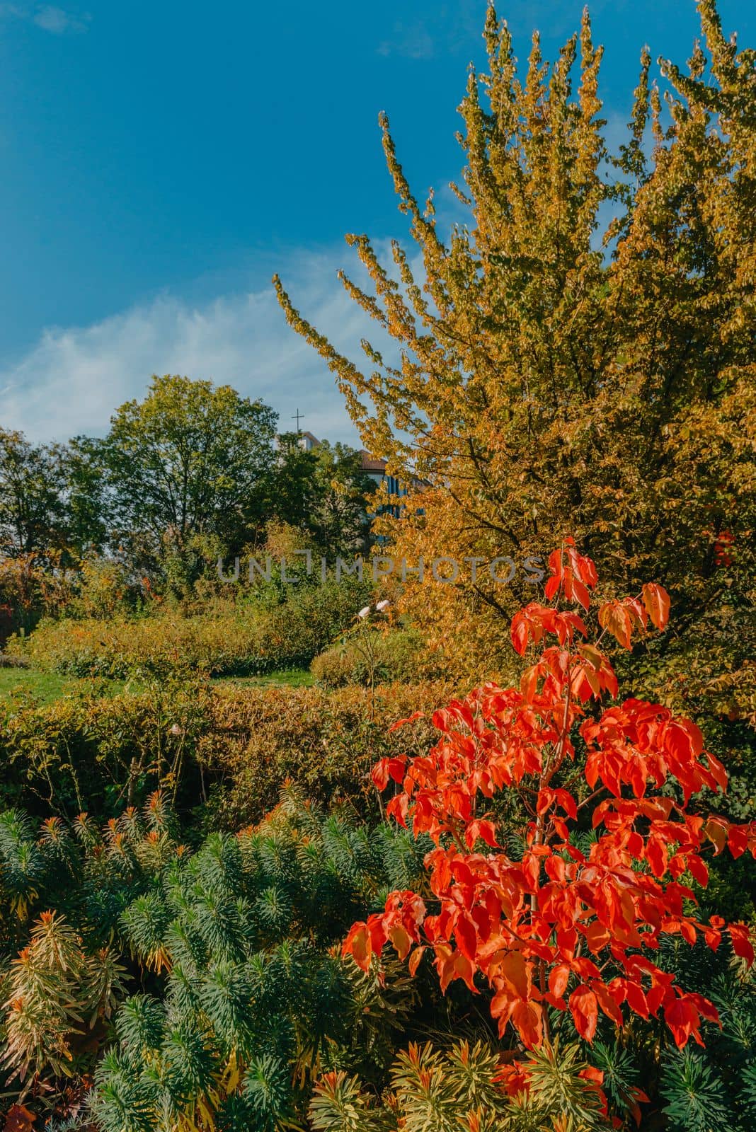 Autumn forest road leaves fall in ground landscape on autumnal background in November