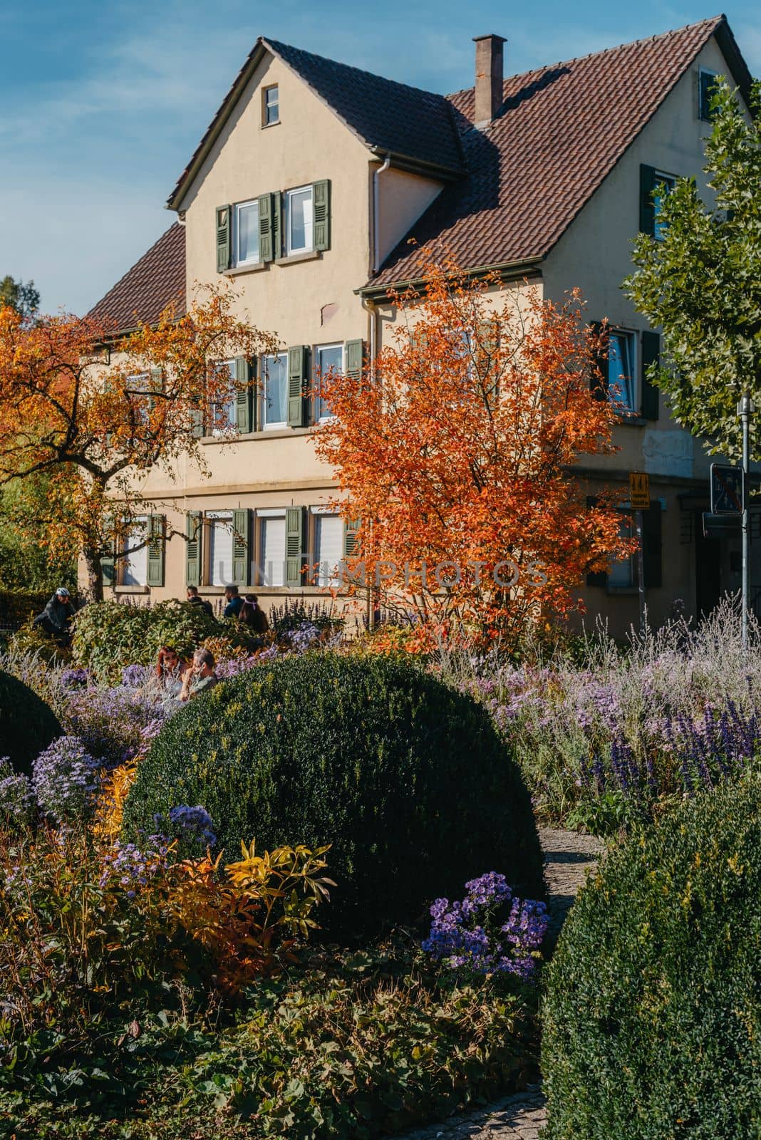 House with nice garden in fall. Flowers in the Park. Bietigheim-Bissingen. Germany, Europe. Autumn Park and house, nobody, bush and grenery