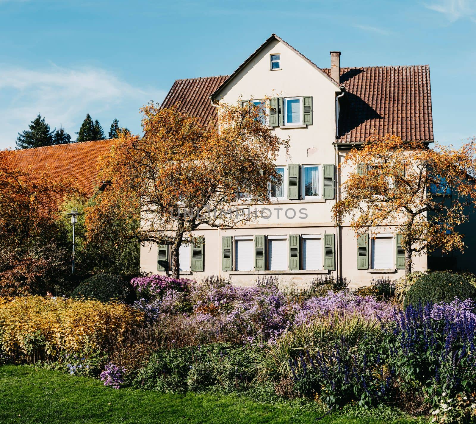 House with nice garden in fall. Flowers in the Park. Bietigheim-Bissingen. Germany, Europe. Autumn Park and house, nobody, bush and grenery