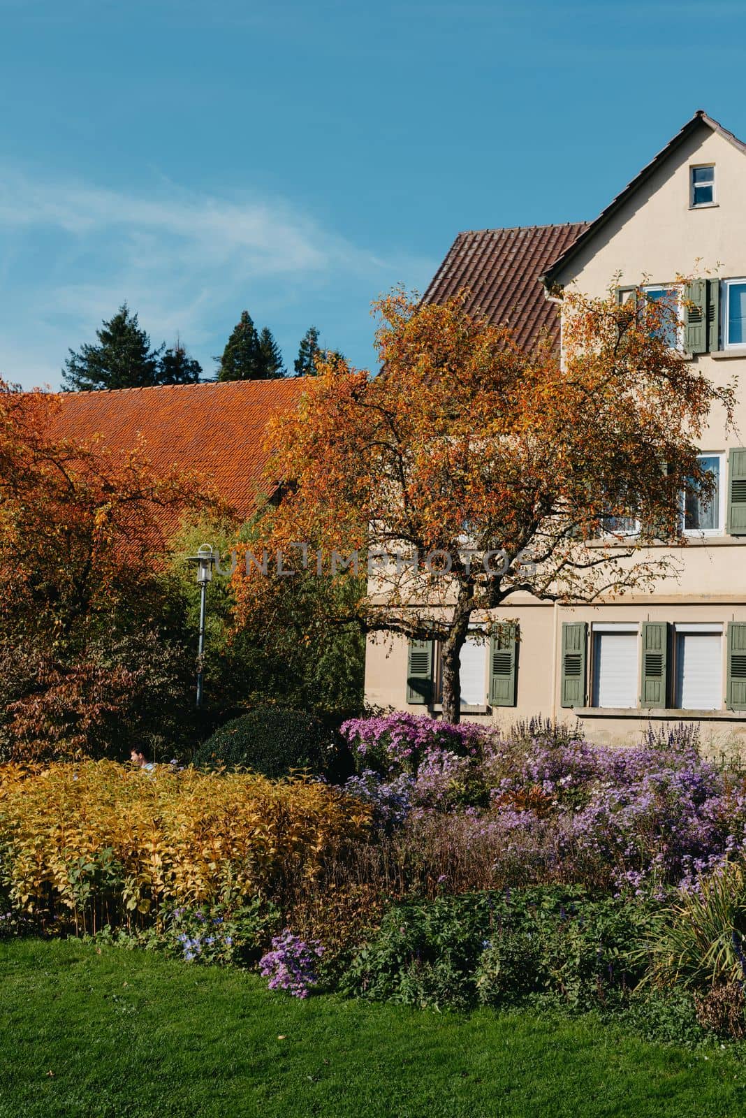 House with nice garden in fall. Flowers in the Park. Bietigheim-Bissingen. Germany, Europe. Autumn Park and house, nobody, bush and grenery