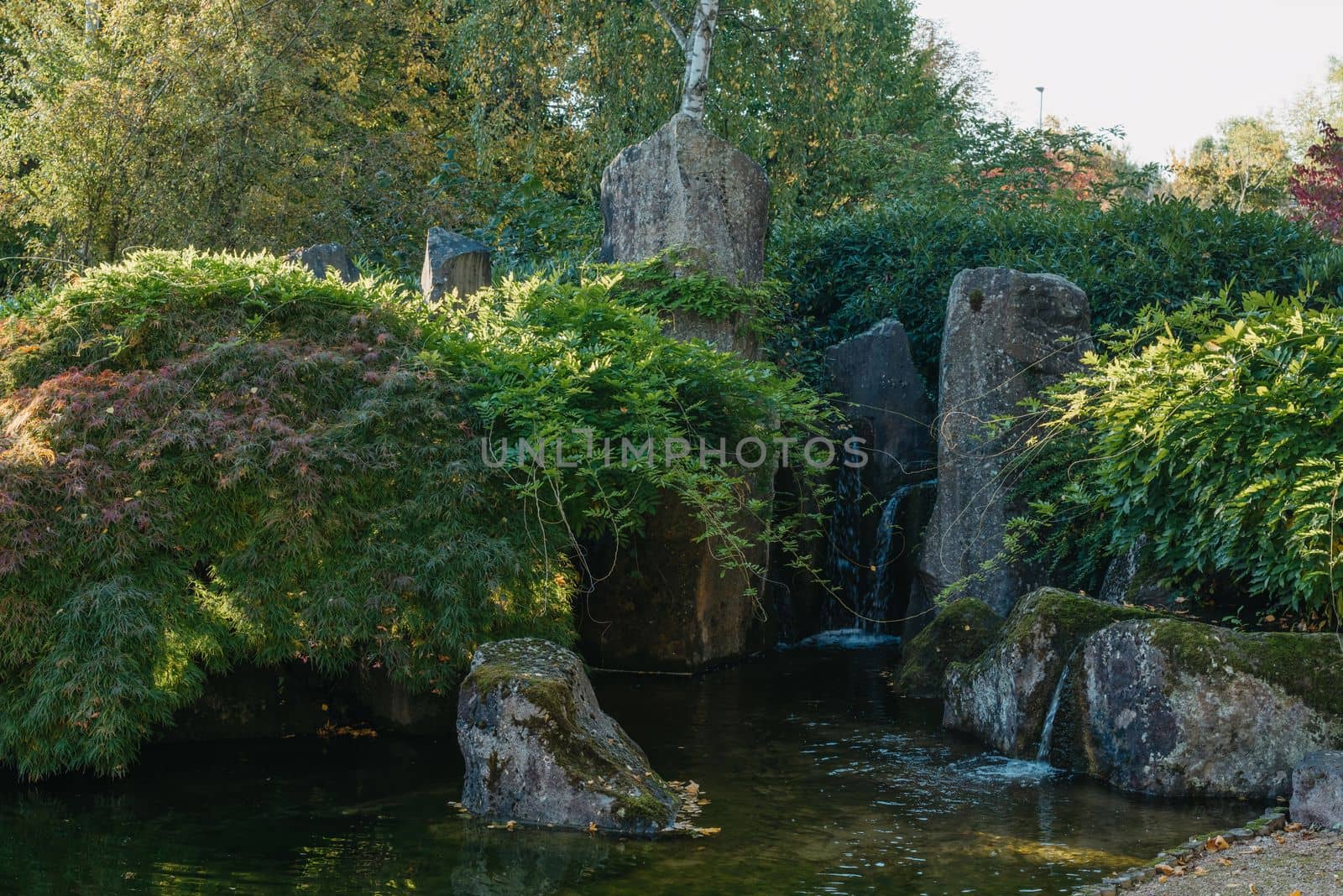 Beautiful calm scene in spring Japanese garden. Japan autumn image. Beautiful Japanese garden with a pond and red leaves. Pond in a Japanese garden.