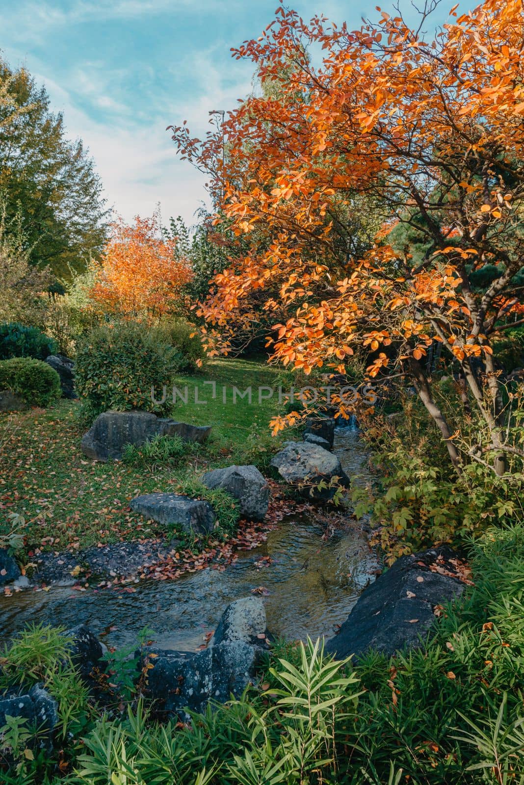 Autumn creek woodland with sunny yellow trees foliage rocks in forest mountain. Idyllic travel hiking landscape, beautiful seasonal autumn nature. Amazing dream scenic colorful outdoor inspire nature. Beautiful waterfall at mountain river in colorful autumn forest with red and orange leaves at sunset. Nature landscape