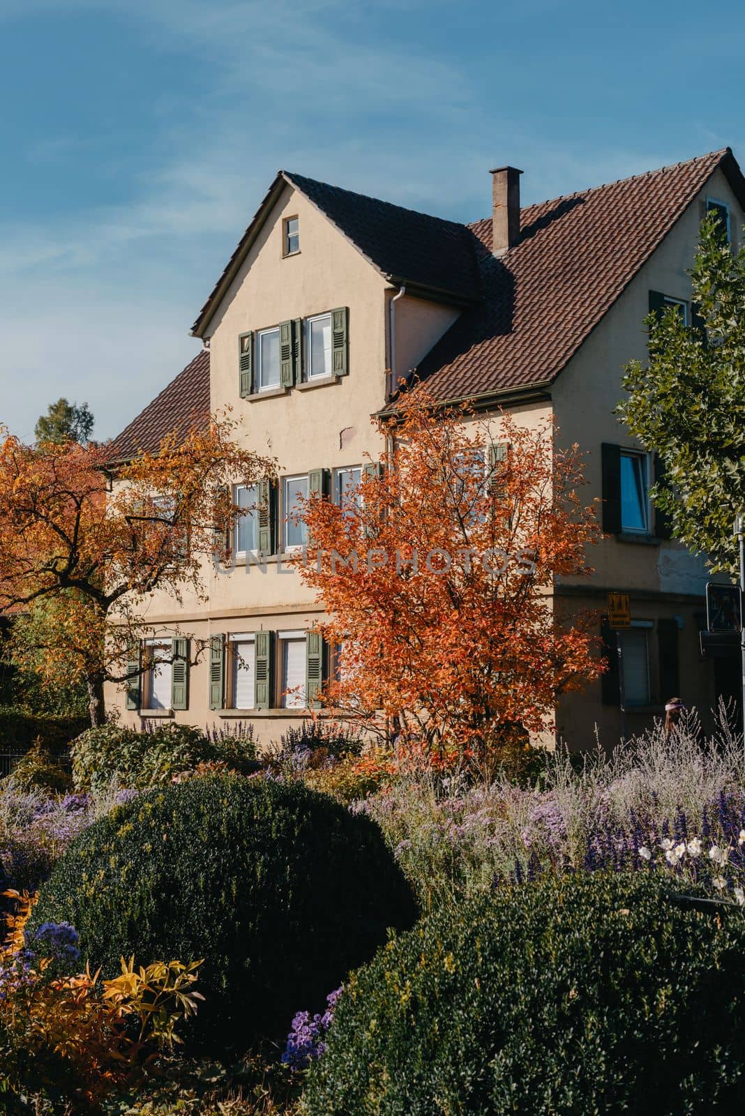 House with nice garden in fall. Flowers in the City Park of Bietigheim-Bissingen, Baden-Wuerttemberg, Germany, Europe. Autumn Park and house, nobody, bush and grenery by Andrii_Ko