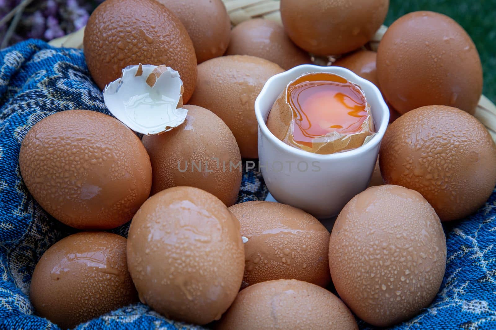 Hen / Close-up of Fresh chicken eggs on basket. Nutrition concept, Selective focus.