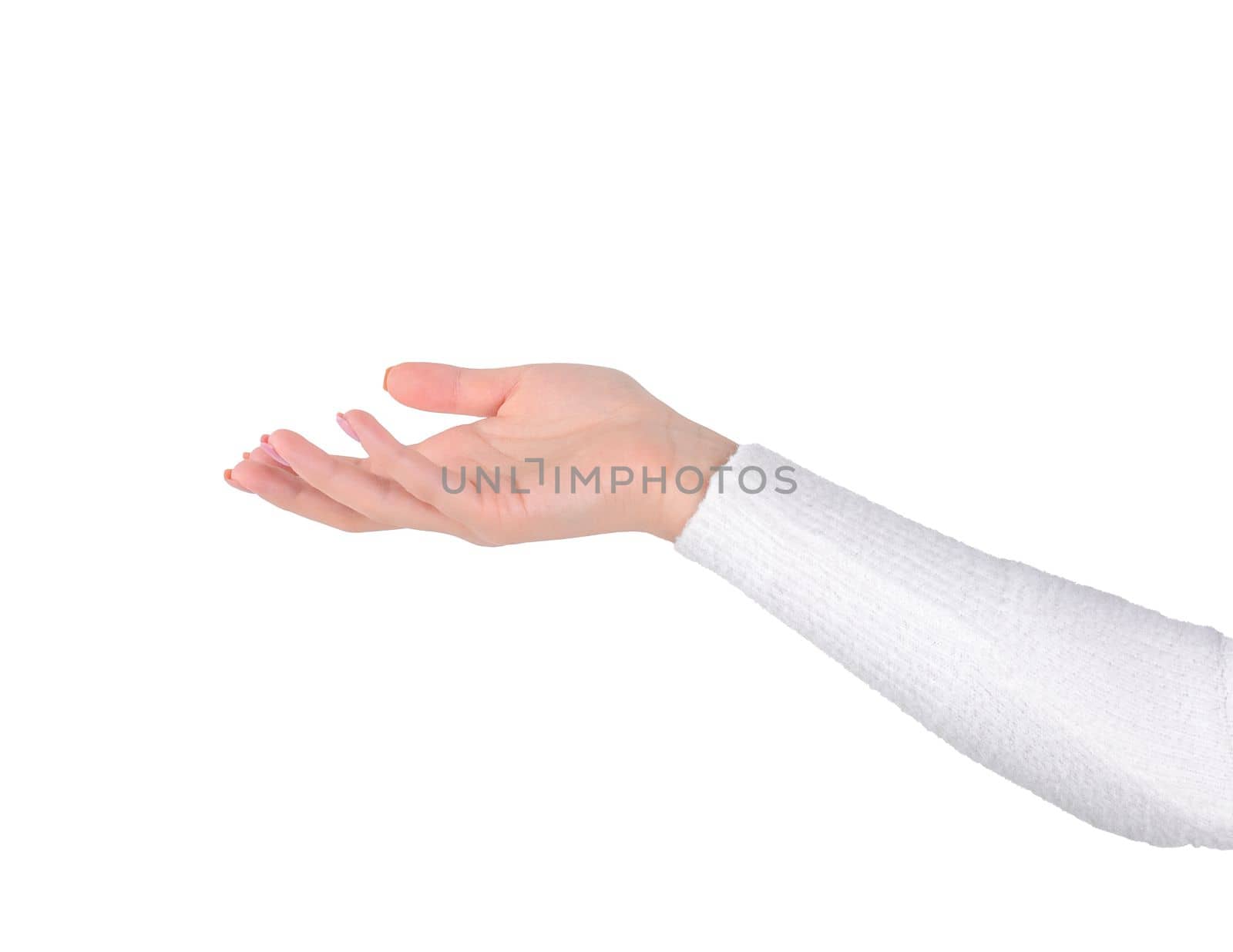 caucasian woman hand palm up isolated on white background