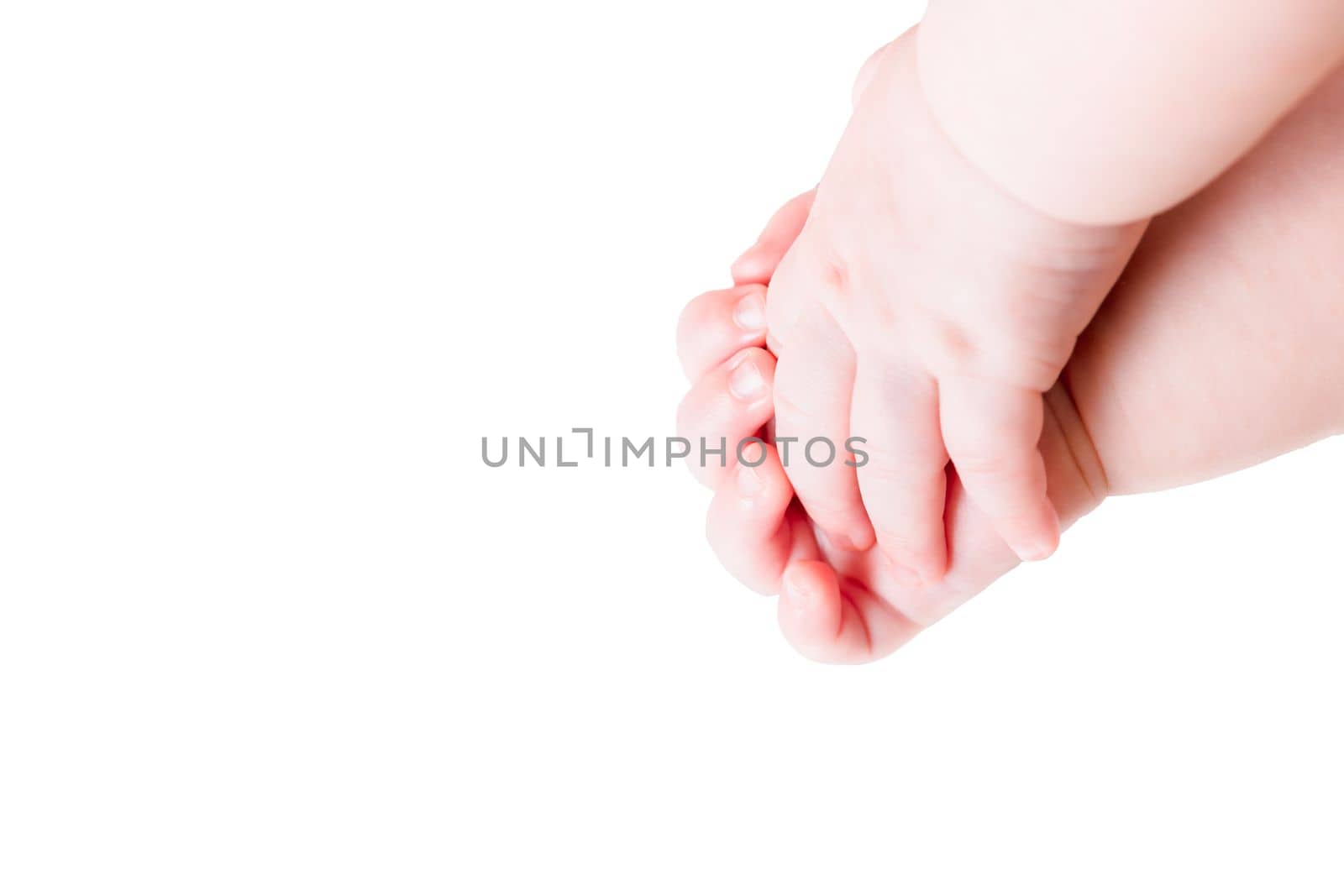 two infant baby hands together macro close-up view isolated on white background