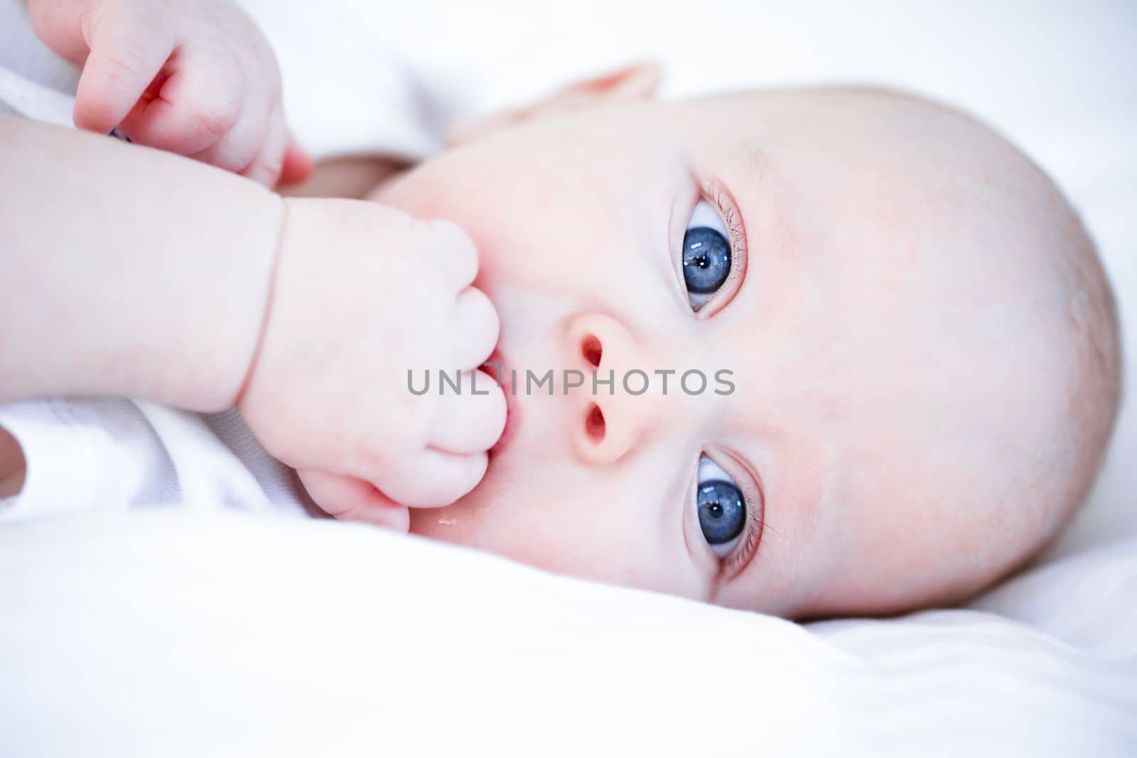 close-up view portrait of blue eyes baby infant sucking fist lying on white sheet