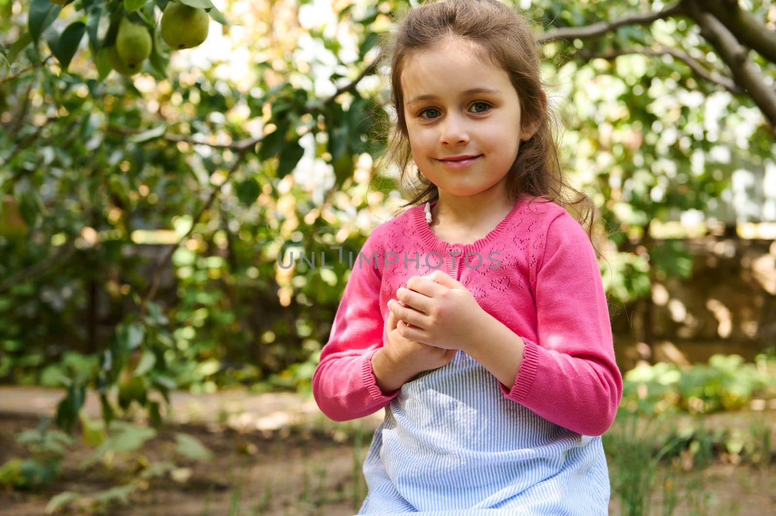 Caucasian adorable child, 5 years old little girl smiles looking at camera, holding a fresh ripe pear in her hands, standing alone in an orchard. Harvesting fresh organic fruits in an early autumn day