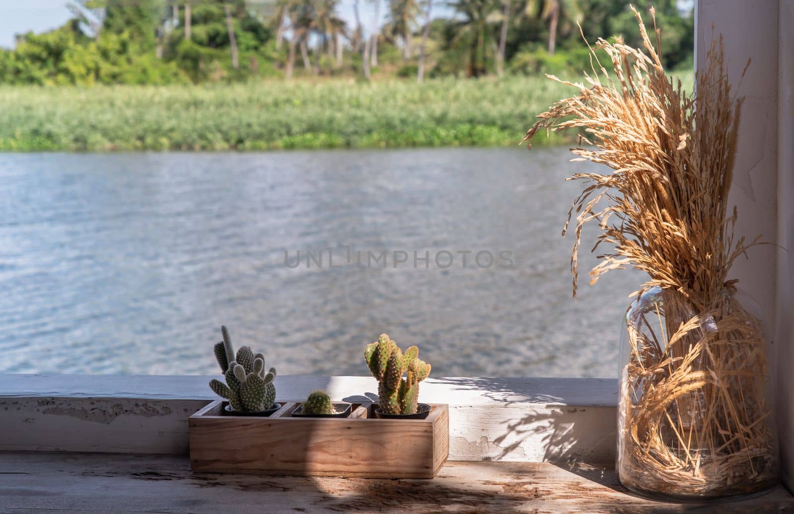 Relaxing corner beside the river with dried ear of rice in a glass jar and little cactus in wooden plant pot for decoration purpose on old wooden table overlooking the river view. Good atmosphere, Selective focus.