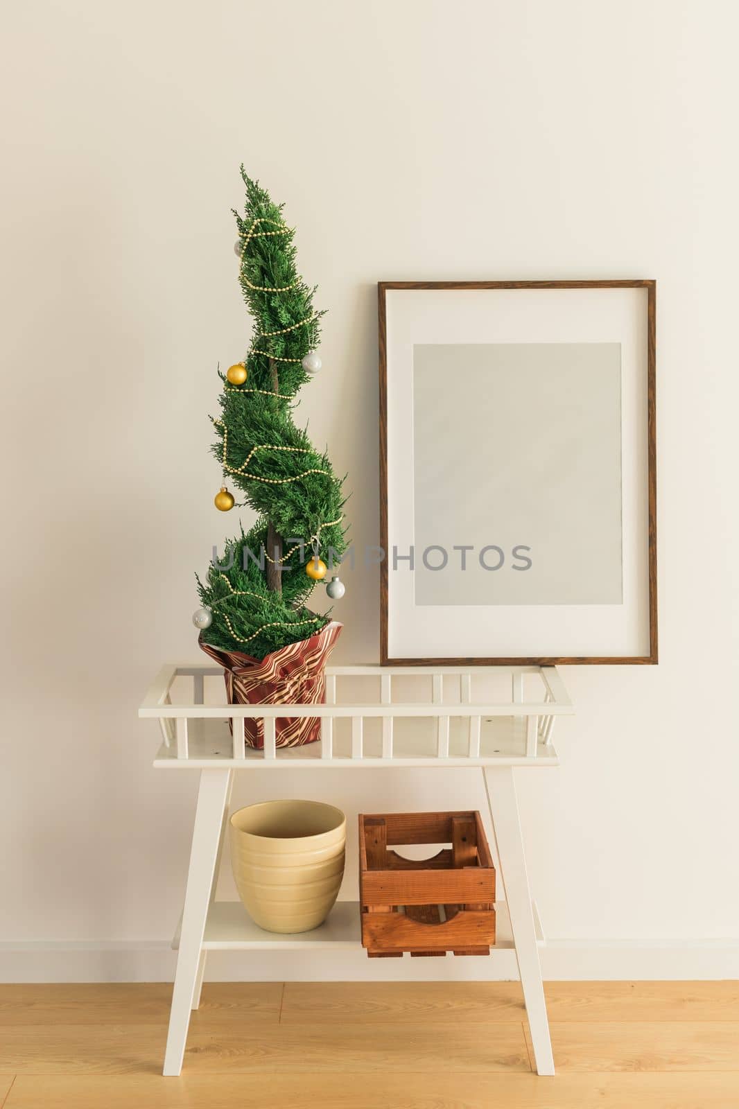Indoor cypress or thuja in pot is decorating balls like Christmas tree. Alternative trees for christmas . Copy space and space for text by Satura86