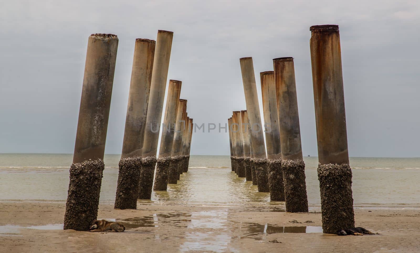 The leaning pillars of the old Pier looking toward beach on a sunny day. Selective focus.